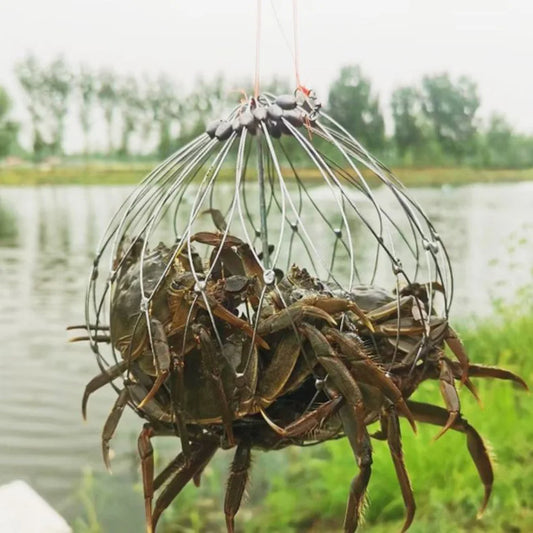 stainless steel crab net with caught crabs