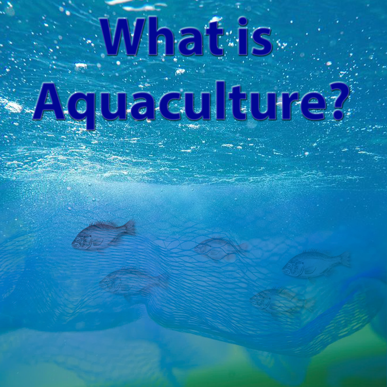 what is aquaculture article image